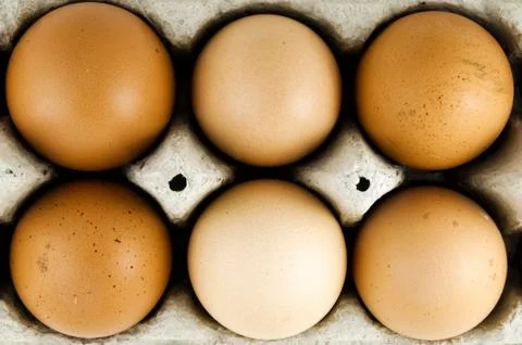 Chicken eggs Stock Photos
