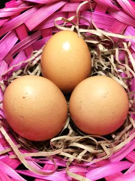 Chicken eggs Stock Photos