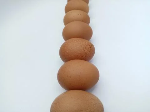 Chicken eggs Stock Photos