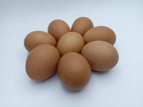 Chicken eggs Stock Photos