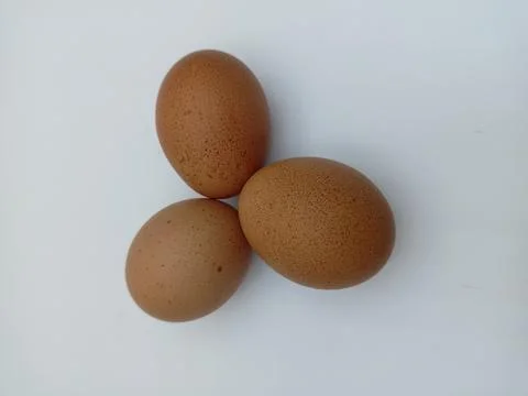 Chicken eggs Stock Photos