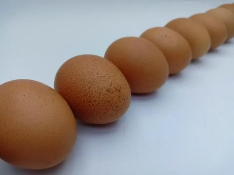 Chicken eggs Stock Photos