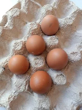 Chicken Eggs Stock Photos
