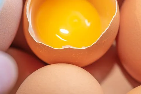 Chicken eggs Stock Photos