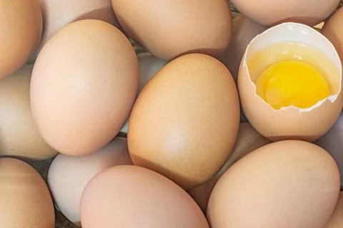 Chicken eggs Stock Photos