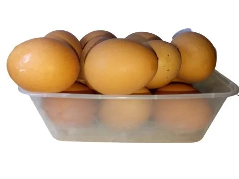 Chicken eggs Stock Photos