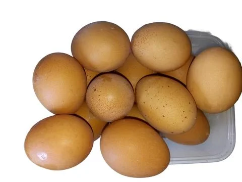 Chicken eggs Stock Photos