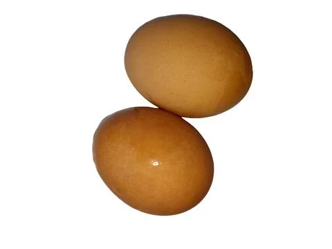 Chicken eggs Stock Photos