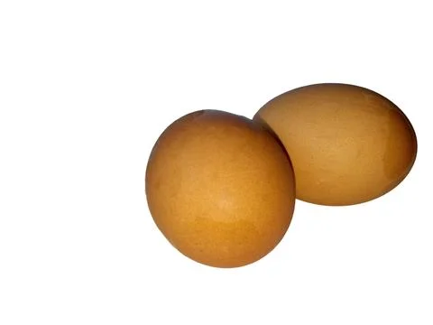 Chicken eggs Stock Photos