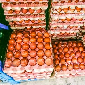 Chicken eggs Stock Photos