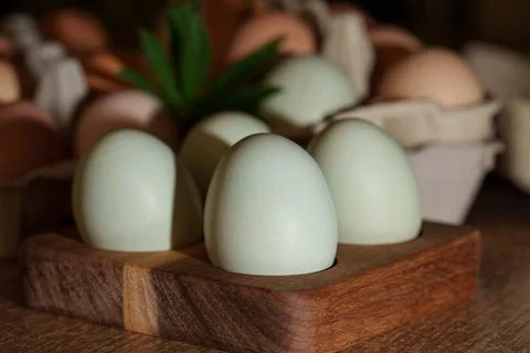 Chicken eggs Stock-Fotos