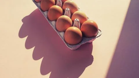 Chicken eggs pink background top view of Flat lay Stock Photos