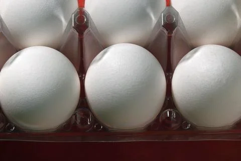 Chicken eggs in a plastic container. Stock Photos