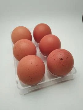 Chicken eggs in plastic Stock Photos