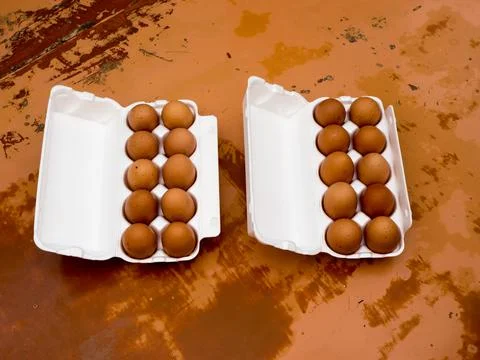 Chicken Eggs in a plastic tray. Foto stock