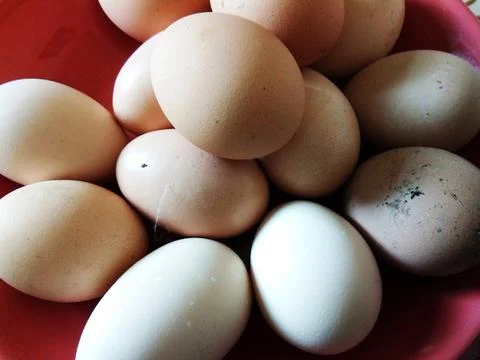 Chicken eggs in a plate Фото