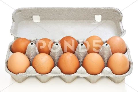 Chicken eggs in pulp egg carton Stock Photos