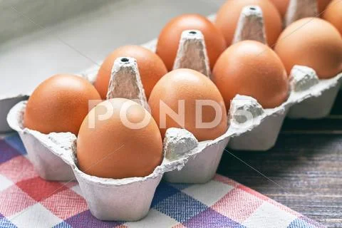 Chicken eggs in pulp egg carton Stock Photos