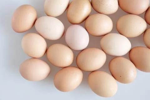 Chicken eggs random on the white background - top view Stock Photos