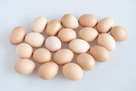 Chicken eggs random on the white background - top view Stock Photos
