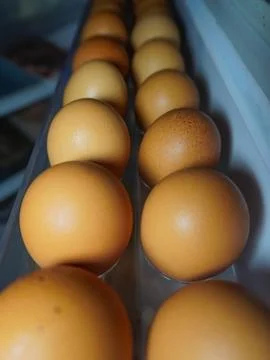 Chicken eggs on the refrigerator Stock Photos