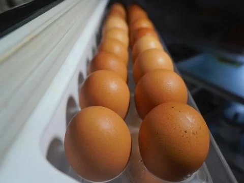 Chicken eggs on the refrigerator Stock Photos