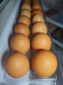 Chicken eggs on the refrigerator Stock Photos