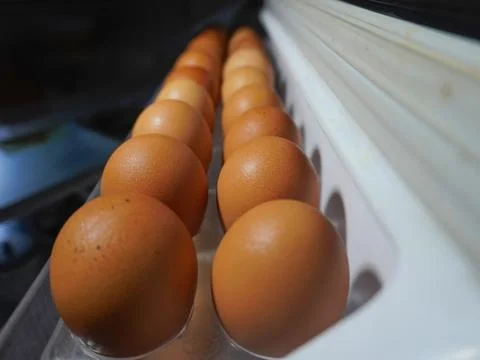 Chicken eggs on the refrigerator Stock Photos