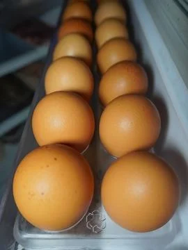 Chicken eggs on the refrigerator Stock Photos