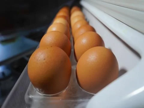 Chicken eggs on the refrigerator Stock Photos