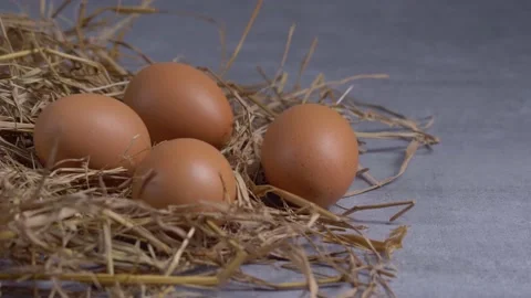 Chicken eggs roll towards the nest on a gray tabletop. Stockbeeldmateriaal 232940658