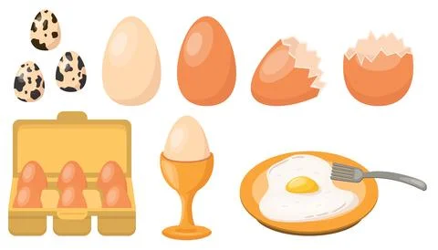Chicken eggs set, quail eggs, fried or raw, broken eggshell, poached egg, p.. Stock Illustration