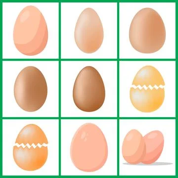 Chicken eggs set. Vector illustration isolated on white background Stock Illustration