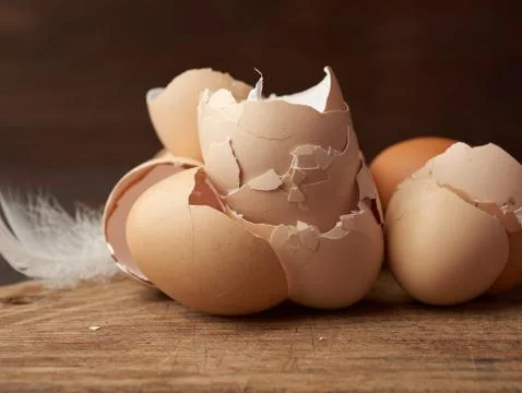 Chicken eggs shells on a cutting board Stock Photos