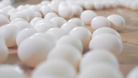 Chicken eggs sorting process. Poultry workers sorting white chicken eggs. 4K. Stock Footage 87469935