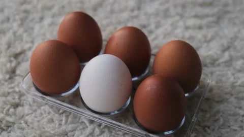 Chicken eggs stacked in a tray close up Stock Footage 228064630