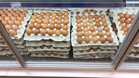 Chicken eggs on store shelves Stock Footage 219829848