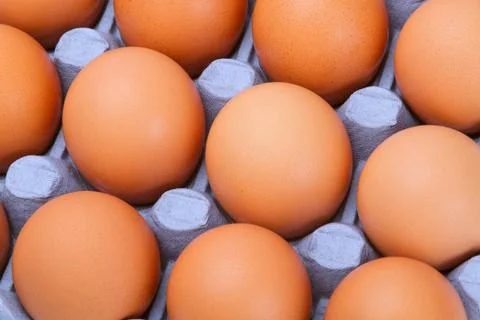 Chicken eggs in a tray 스톡 사진
