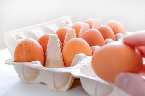 Chicken eggs on a tray. Selective focus. Chicken egg omelette for Breakfast. One Stock Photos
