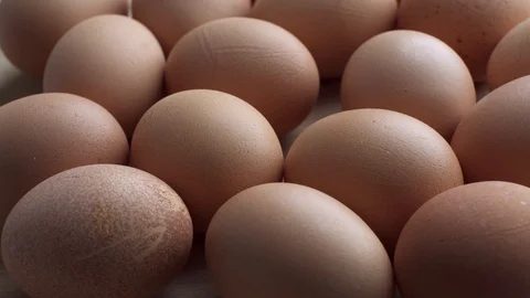 Chicken eggs turning around Stock Footage 87237076