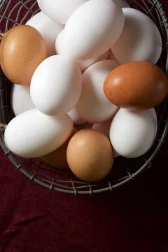 Chicken eggs view Фото