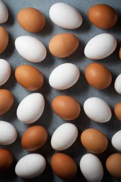 Chicken eggs view Stock Photos