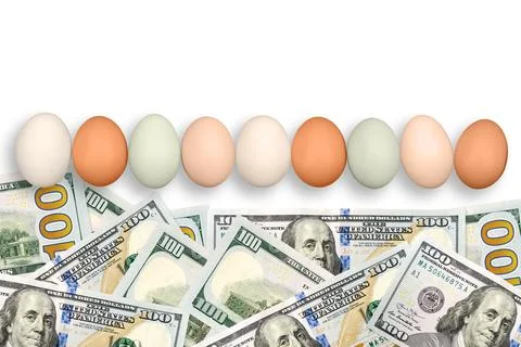 Chicken eggs on the white background with dollars. Eggs price. Stock Photos