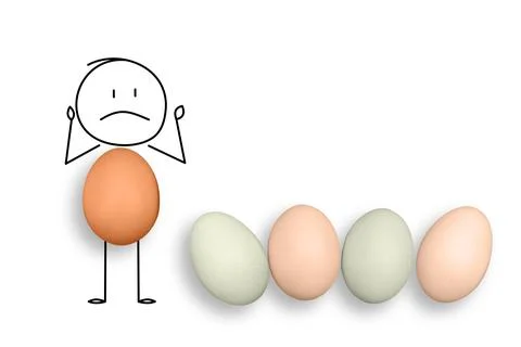 Chicken eggs on the white background. Eggs price. Stock Photos