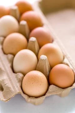 Chicken Eggs on White Background Stock Photos