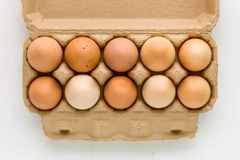 Chicken Eggs on White Background Stock Photos