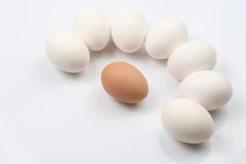 Chicken eggs on white background Stock Photos
