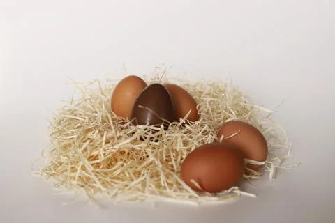 Chicken eggs on a white background. Stock Photos