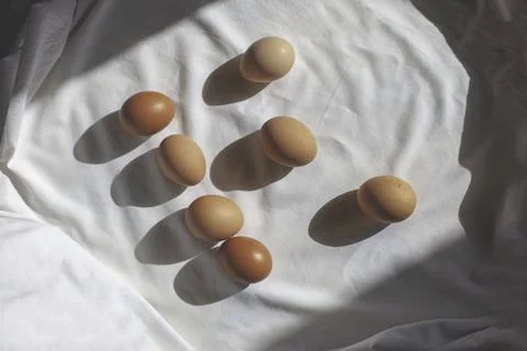 Chicken eggs on a white background. Foto stock