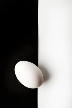 Chicken eggs  on a white background Foto stock